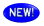 newb_7.gif (9410 bytes)