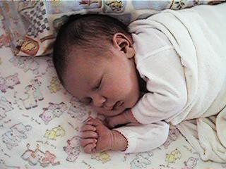 sleep4.jpg (16170 bytes)
