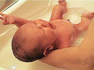 firstbath2.JPG (12932 bytes)